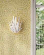 Images Shw5000-0259_12.jpg